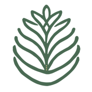 logo pineabayah favicon 512x